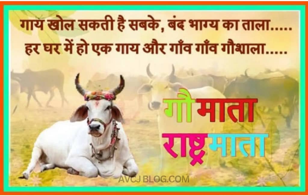 Becoming a seeker: Its meaning and significance gaumata rastramata