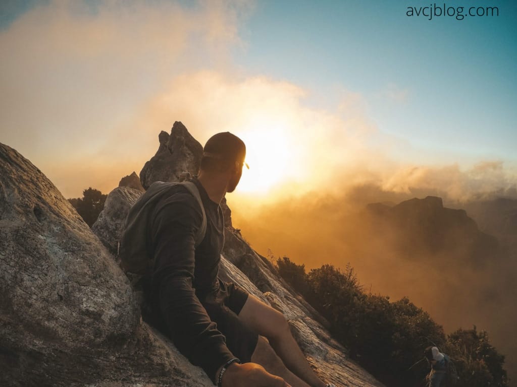 Potential of a common man Benefits of Sunlight: A Bright Spot for Human Health