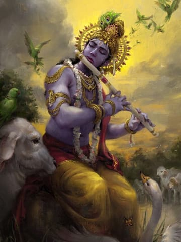 What Krishna wanted to teach Us