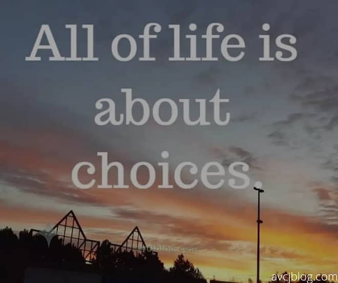 Life is an opportunity We can't all do it our own way. Little Adjustment in life is needed everywhere. You don't have all the things on your own.