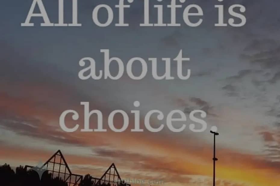 AVCJ Blog life is all about choices