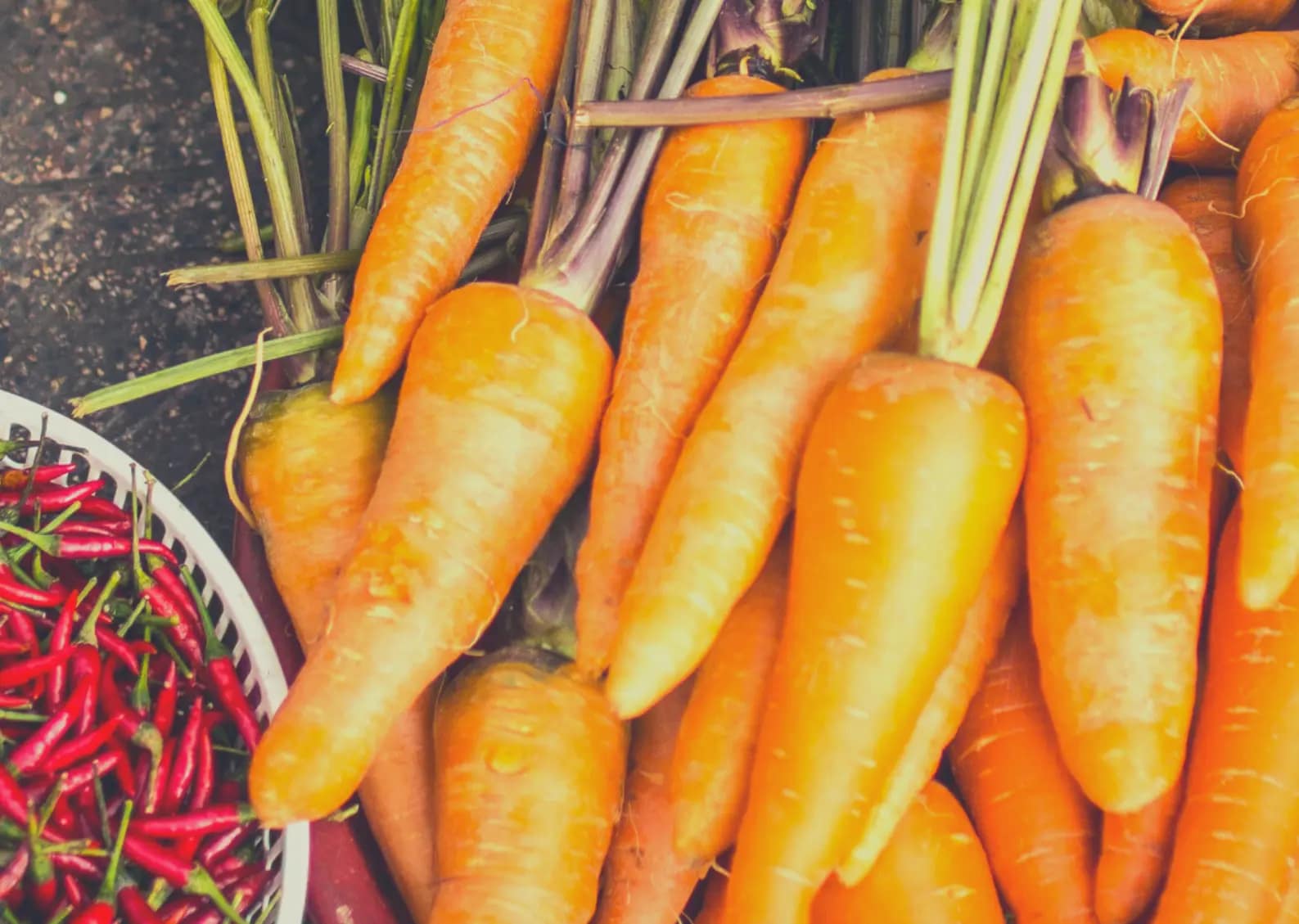 Store of Power Amazing Benefits of Eating Carrots
